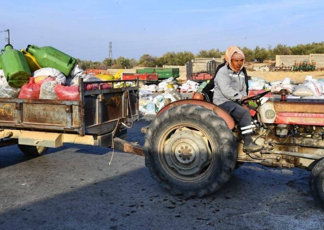 Hasadı çuval yerine kasayla taşıdılar. Lezzeti 2 katına çıkardılar